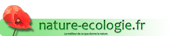 Lombric achat sur nature ecologie